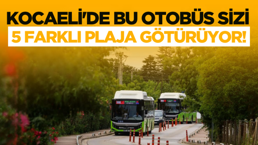 Kocaeli'de bu otobüs sizi 5 farklı plaja götürüyor! 