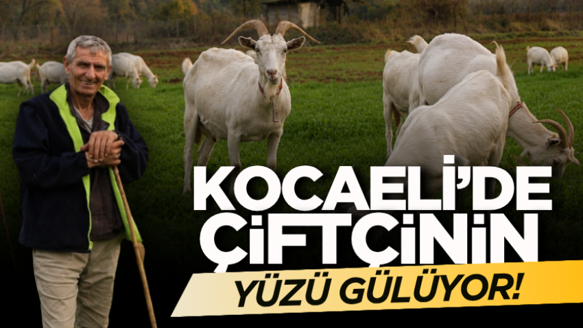 Kocaeli’de çiftçinin yüzü gülüyor!