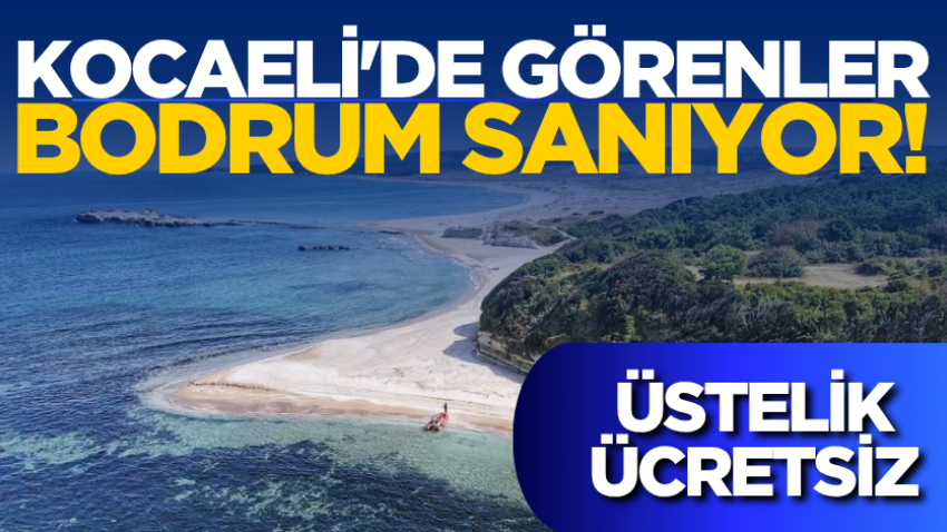 Kocaeli'de görenler Bodrum sanıyor! Üstelik ücretsiz 