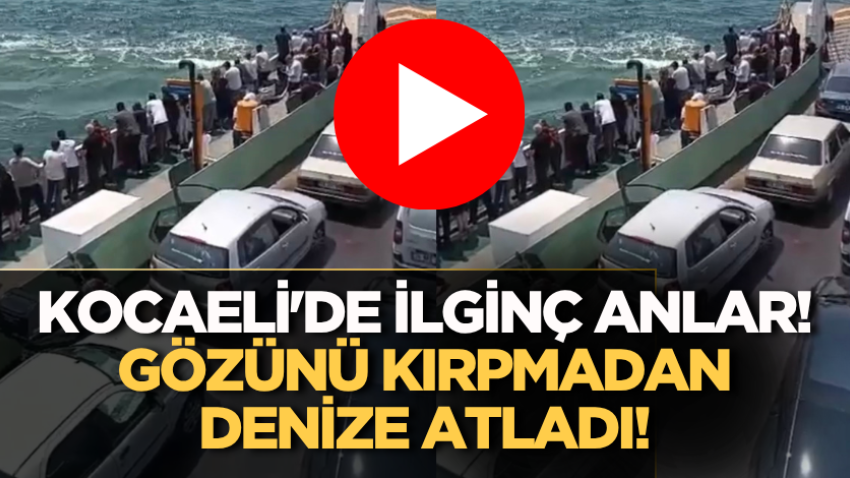 Kocaeli'de ilginç anlar! Gözünü kırpmadan denize atladı!