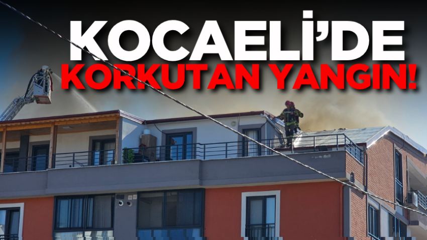 Kocaeli’de korkutan yangın! 
