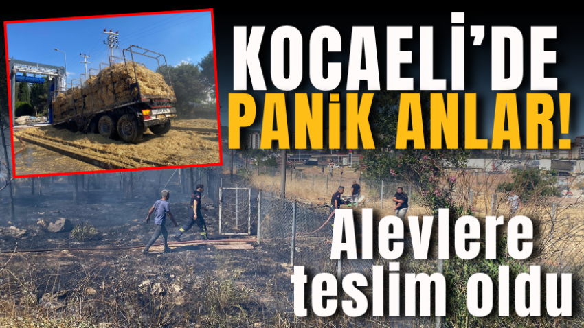 Kocaeli'de panik anlar! Alevlere teslim oldu