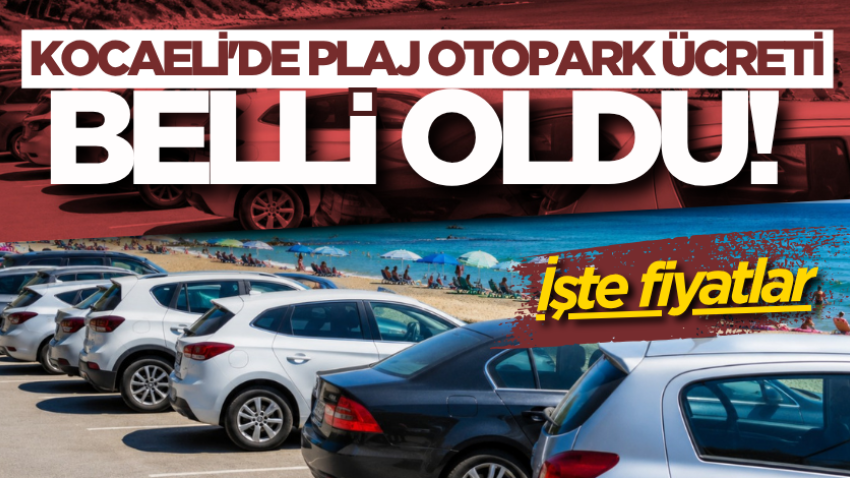 Kocaeli'de plaj otopark ücreti belli oldu! İşte fiyatlar 