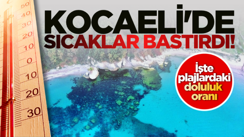 Kocaeli'de sıcaklar bastırdı! İşte plajlardaki doluluk oranı 
