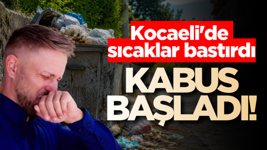 Kocaeli'de sıcaklar bastırdı, kabus başladı!