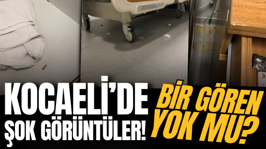 Kocaeli’de şok görüntüler! Bir gören yok mu?