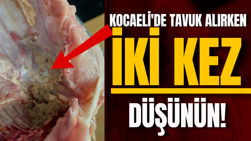 Kocaeli'de tavuk alırken iki kez düşünün!