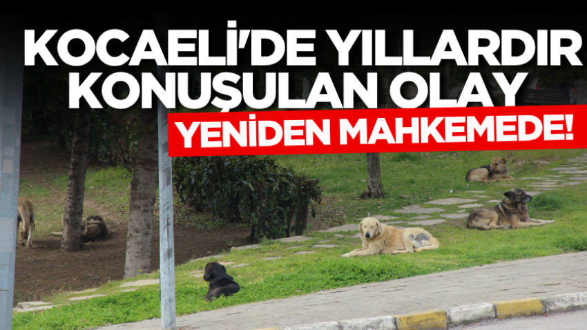 Kocaeli'de yıllardır konuşulan olay yeniden mahkemede!