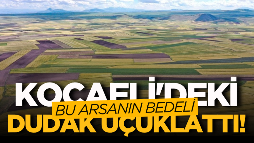 Kocaeli'deki bu arsanın bedeli dudak uçuklattı!