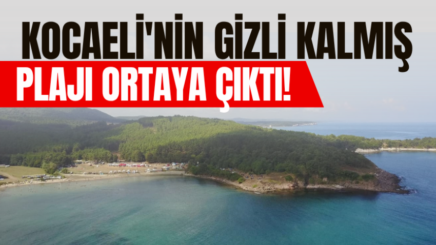 Kocaeli'nin gizli kalmış plajı ortaya çıktı! 