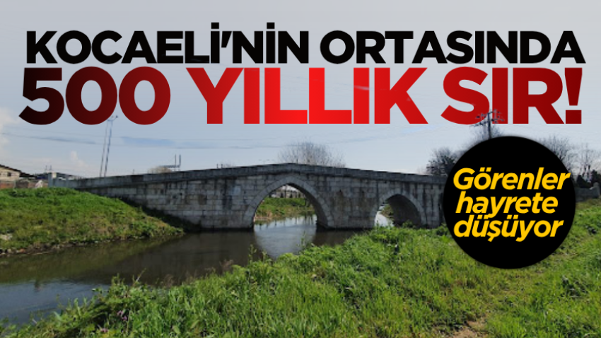 Kocaeli'nin ortasında 500 yıllık sır! Görenler hayrete düşüyor 