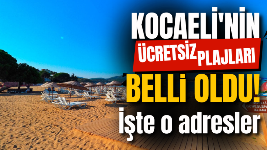 Kocaeli'nin ücretsiz plajları belli oldu! İşte o adresler 
