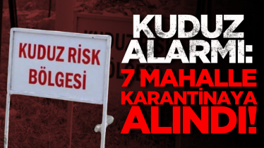 Kuduz alarmı: 7 mahalle karantinaya alındı!