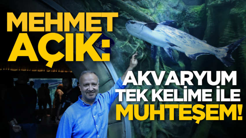 Mehmet Açık: Akvaryum tek kelime ile muhteşem!