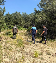 Orman yangınlarına karşı sıkı denetim