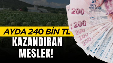 Oturduğu yerden 8 asgari ücret kazanıyor! Ayda 240 bin TL kazandıran meslek!