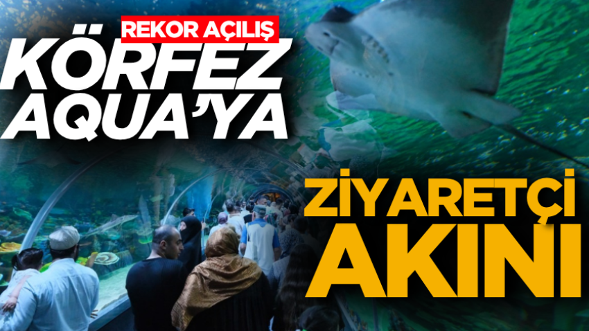 Rekor açılış: Körfez Aqua’ya ziyaretçi akını