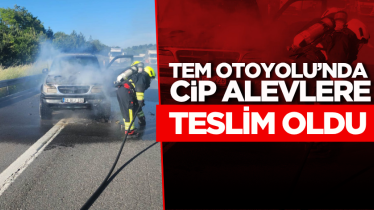 TEM Otoyolu’nda cip alevlere teslim oldu