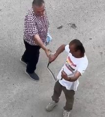 Yılanı eliyle yakaladı