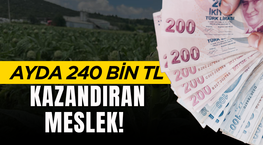 Oturduğu yerden 8 asgari ücret kazanıyor! Ayda 240 bin TL kazandıran meslek!