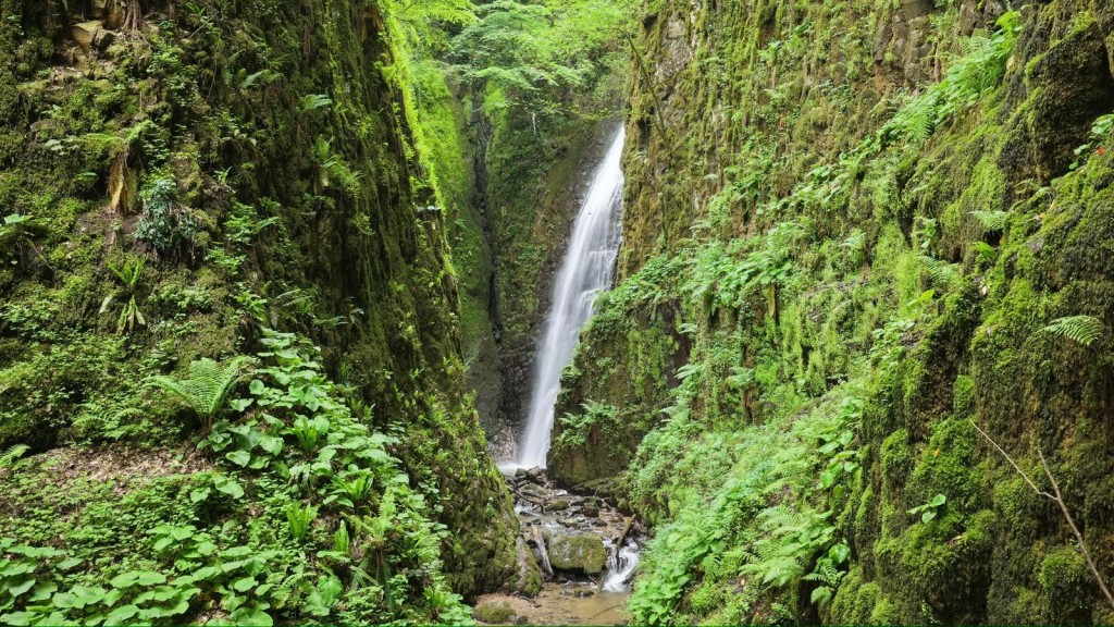 Burası Rize değil Kocaeli!