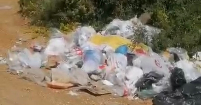 Balık tutmaya gitti, gördüğüyle şoke oldu!