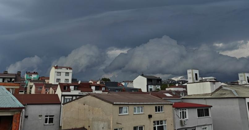 Fırtına başladı, ağaçlar devrildi!