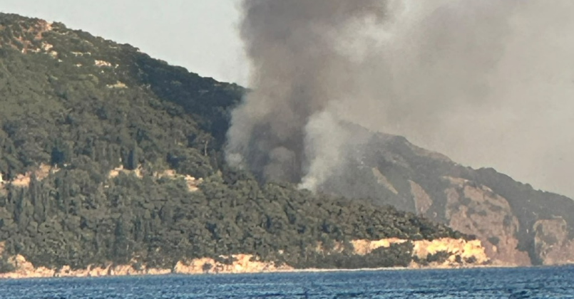 Büyükada'da korkutan yangın!