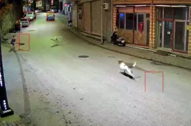 Küçük çocuk sokak köpeklerinin saldırısına uğradı