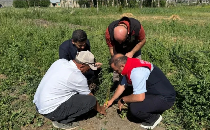 İki yıl önce ilk kez denediler, servet buldular
