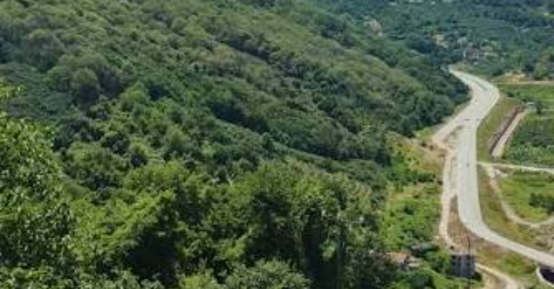 Kocaeli'de orman parkı kiraya verilecek