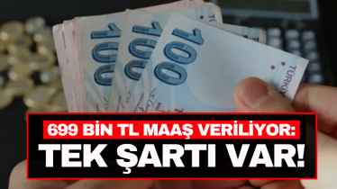 699 bin TL maaş veriliyor: Tek şartı var! 