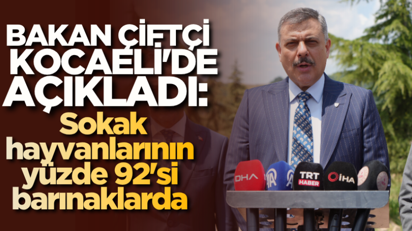 Bakan Çiftçi Kocaeli'de açıkladı: Sokak hayvanlarının yüzde 92'si barınaklarda