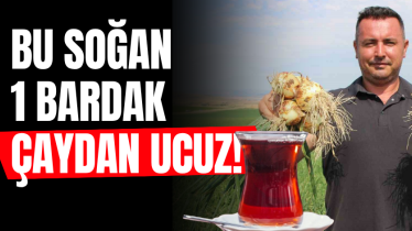 Bu soğan 1 bardak çaydan ucuz!