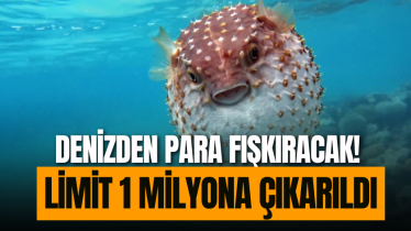 Denizden para fışkıracak! Limit 1 milyona çıkarıldı