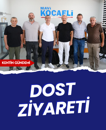 Dost ziyareti