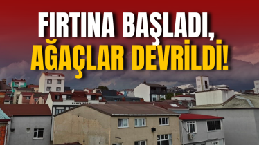 Fırtına başladı, ağaçlar devrildi!