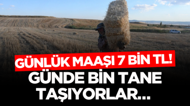 Günlük maaşı 7 bin TL! Günde bin tane taşıyorlar… 
