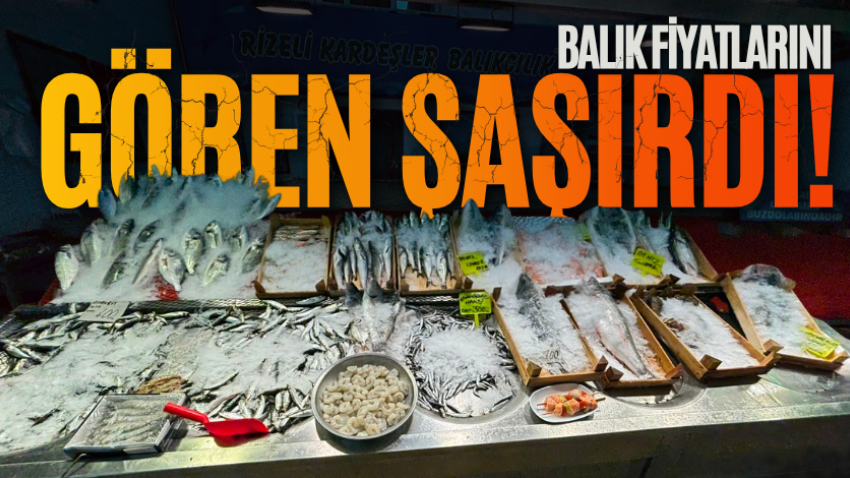 İzmit'te balık fiyatlarını gören şaşırdı!