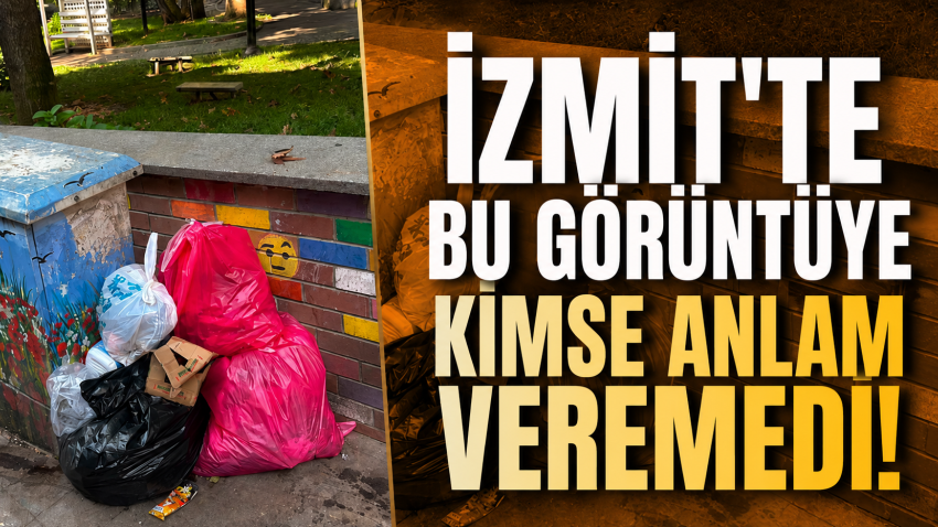İzmit'te bu görüntüye kimse anlam veremedi! 