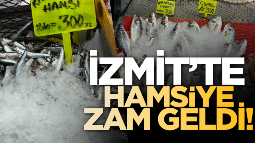 İzmit’te hamsiye zam geldi!