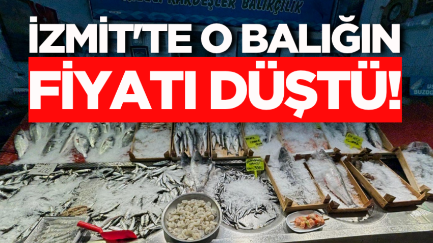 İzmit'te o balığın fiyatı düştü!