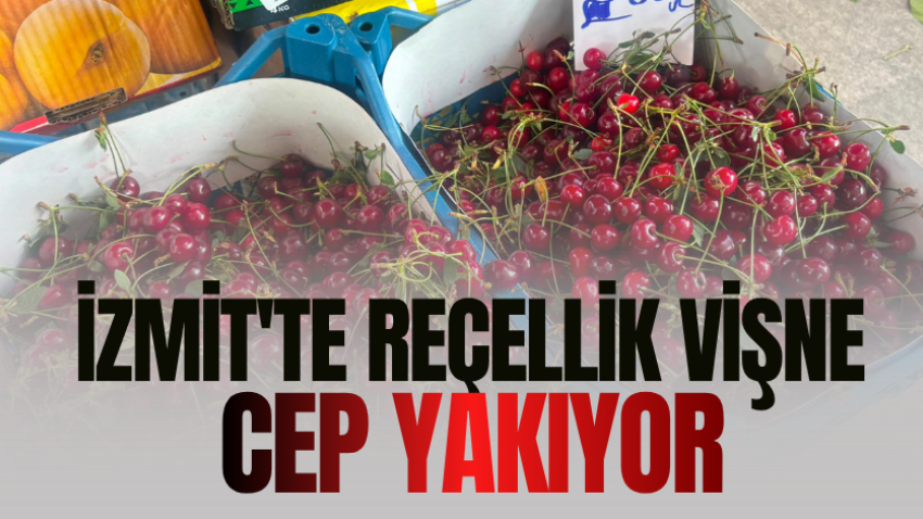 İzmit'te reçellik vişne cep yakıyor