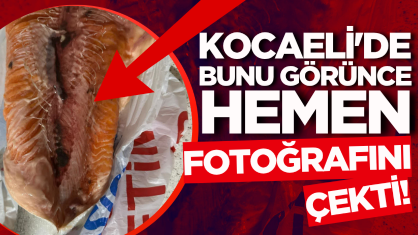 Kocaeli'de bunu görünce hemen fotoğrafını çekti!