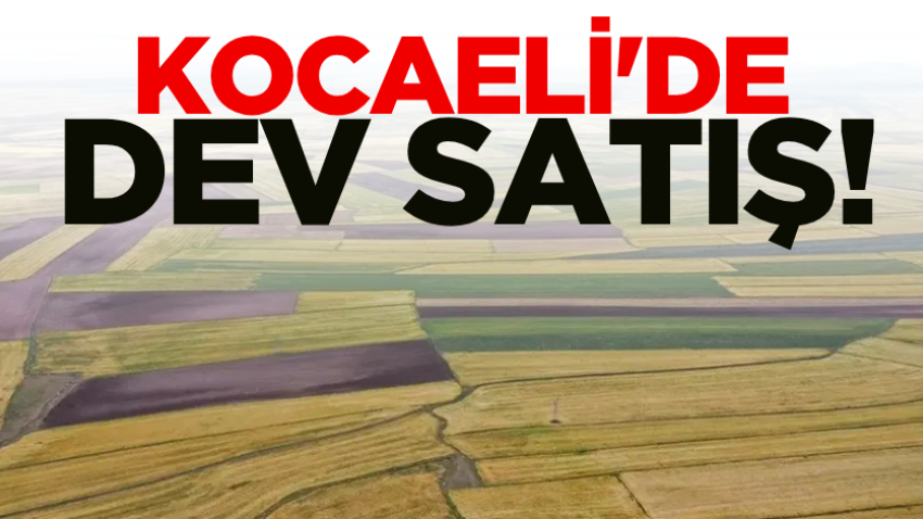 Kocaeli'de dev satış!