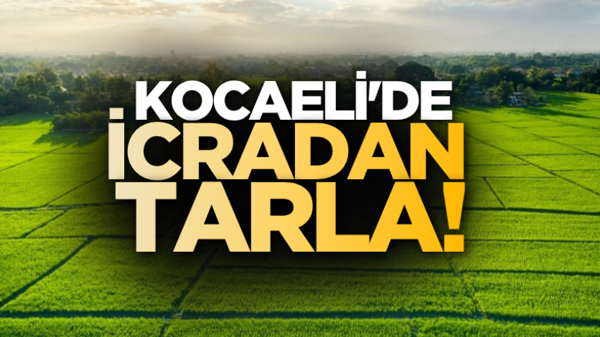 Kocaeli'de icradan tarla!