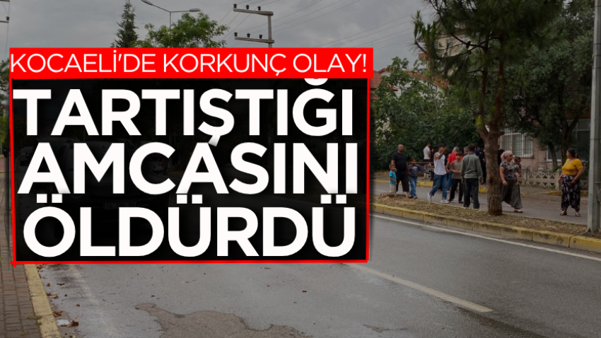 Kocaeli'de korkunç olay! Tartıştığı amcasını öldürdü