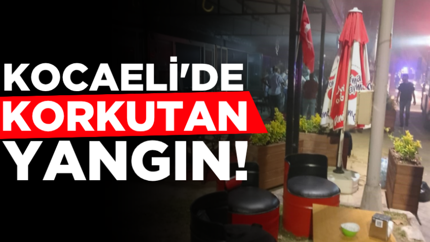 Kocaeli'de korkutan yangın!