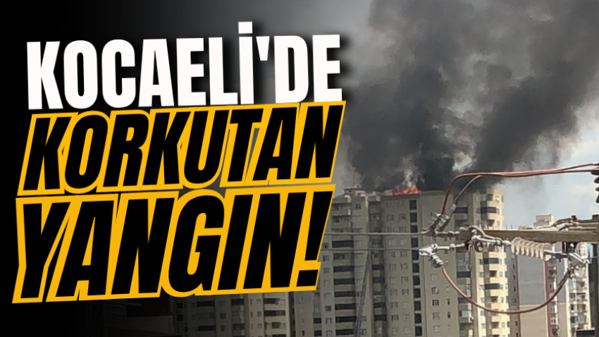 Kocaeli'de korkutan yangın! 