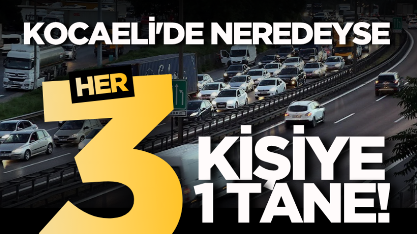 Kocaeli'de neredeyse her 3 kişiye 1 tane! 